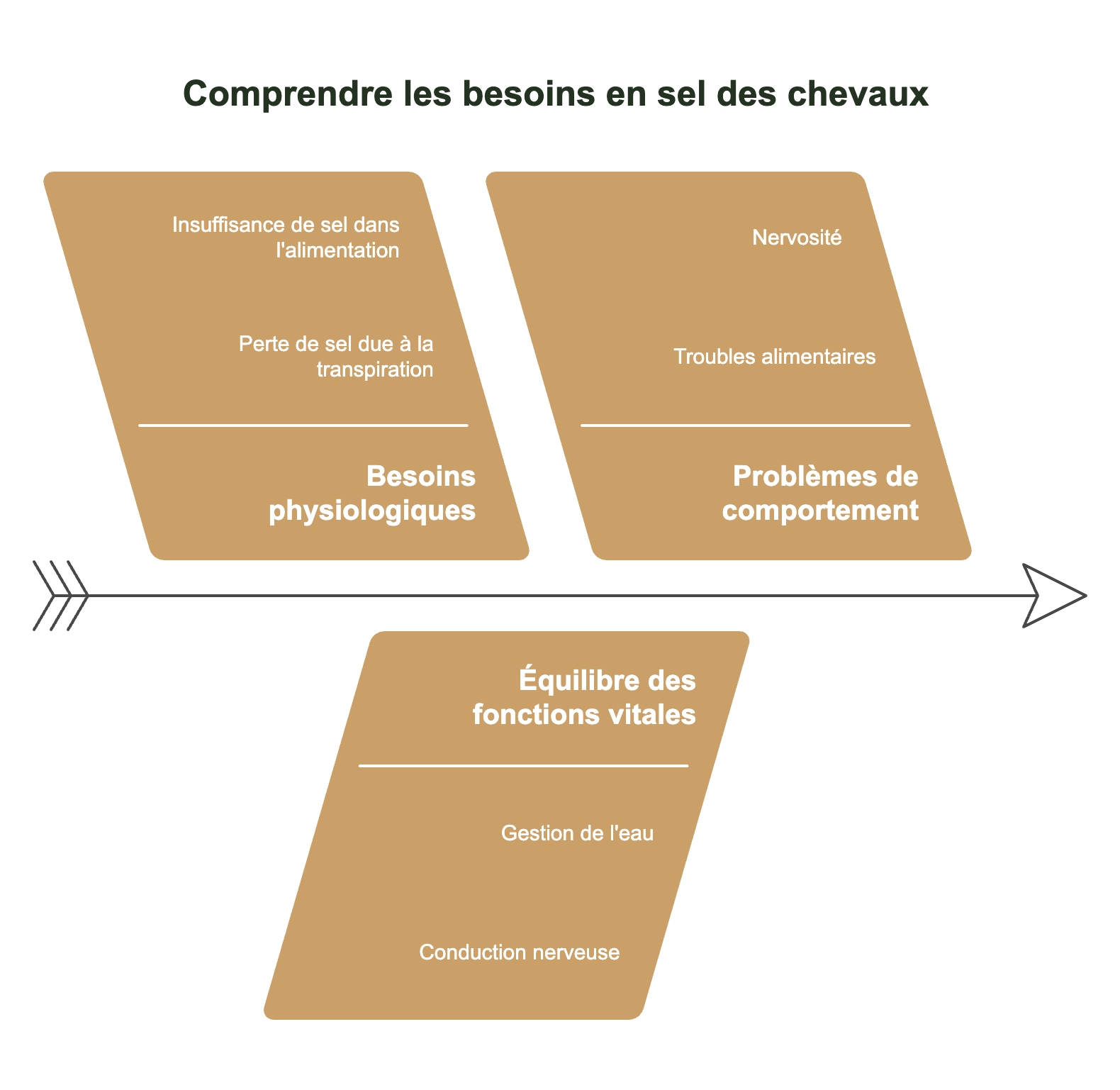 Infographie besoin en sel des chevaux
